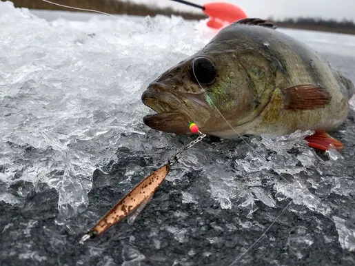 Зимняя рыбалка 2020 /2021 первый лёд / На что будет лучше...