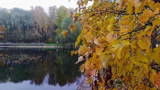 Осень в Терлецком парке