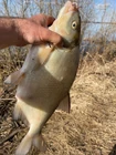 Весна и долгожданная рыбалка