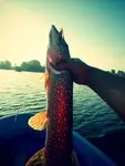 Solo_Fishing