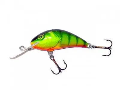 Salmo Hornet