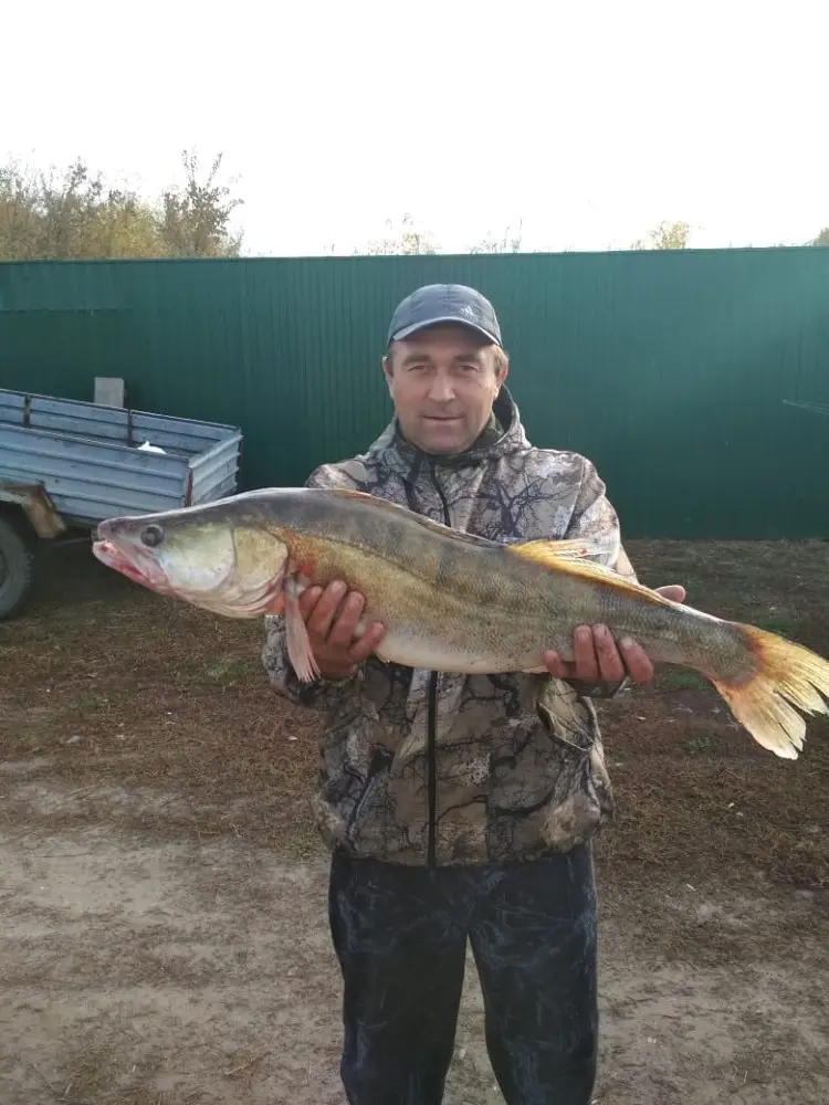 Рыбалка в Новосибирске, Рыбалка в Сузуне, Дом рыбака Кордон.