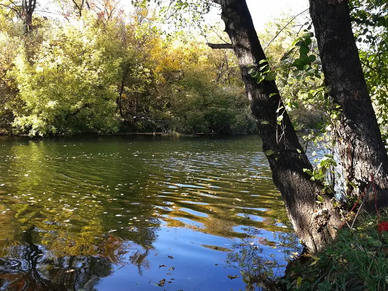 То и дело слышишь шлепки о воду падающих листьев, и река их уносит...