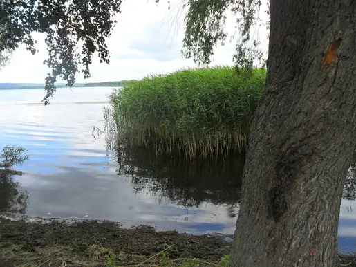 Печенежские выходные. Мартовая.