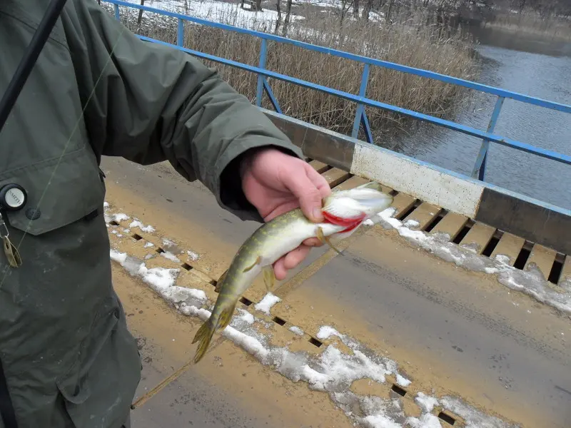 Точнее, щучку :)