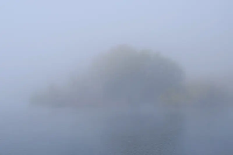 Густой туман скрывает другой берег пруда. Здесь вход в залив, до кустов не больше 20-30 метров.