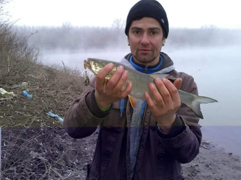 Фото о рыбалке №28339