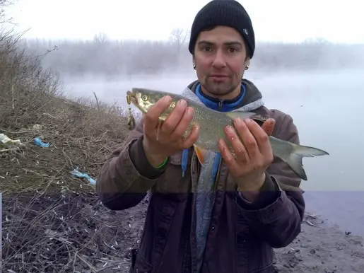 Фото о рыбалке №28339