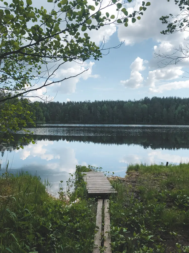 Озеро с чёрными окунями. Чем больше ила, тем чернее окуни :)