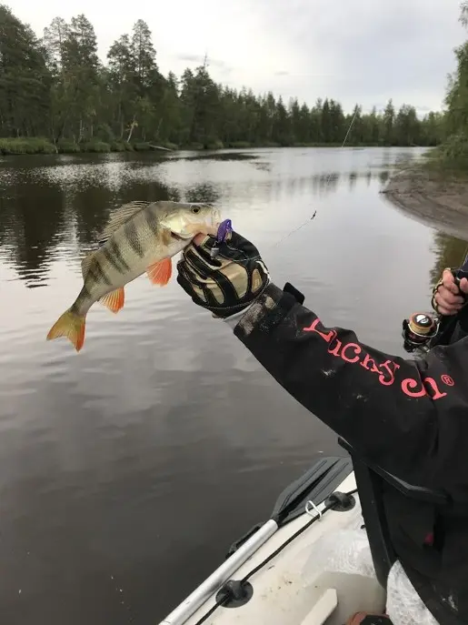 Песнь Воды, Камня и Дерева. Карелия 2018. Часть 2.