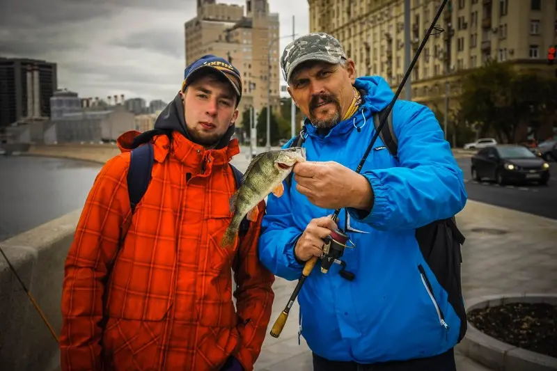 Вот такие полосатики в Москва-реке.