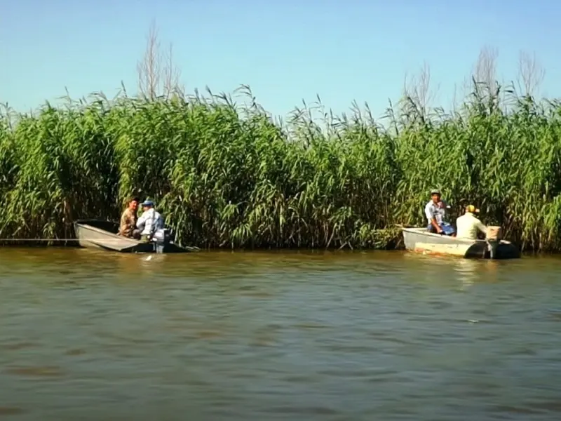 Рыбалка на судака: как эффективно использовать блесну колхозницу