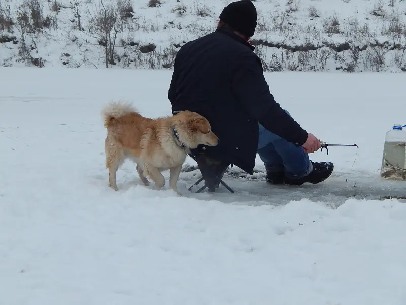 Умка испортил всю рыбалку. Теперь сидит дома :)