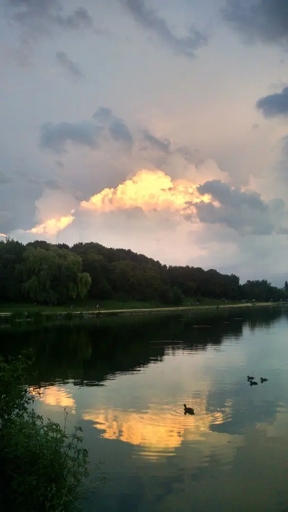 Домашний водоем