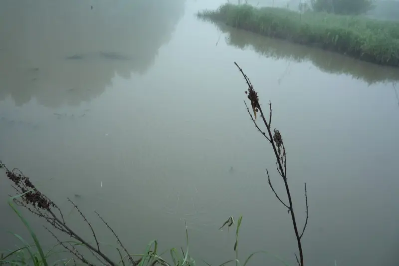 Не помню такого лета. 9 июня, вода то спадает, то на метр выше обычного уровня. Муть дикая...