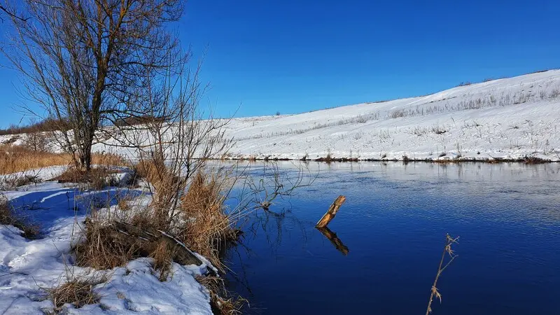 А тут брёвнышко в воде. Жаль, за брёвнышком ни кого...