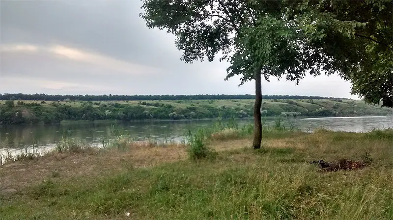 Поляна. Вид с места стоянки, сзади густой пойменный лес