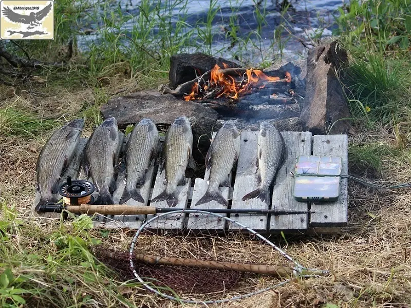 Рыбалка в Швеции на нахлыст.