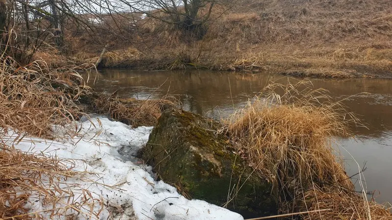 А это с другой стороны дамбы. У основного русла.