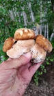 Прошла пара коротких... (фото #25761)