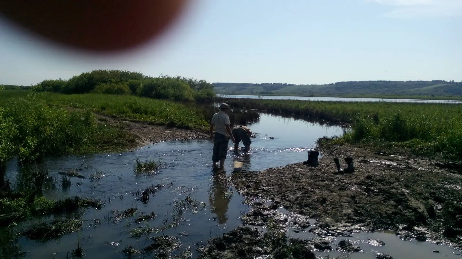 Уровень воды в чарыше на сегодня