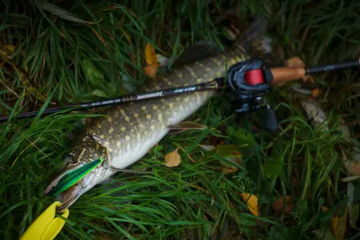 Выходной StreetFishing