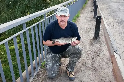 Медведицкий голавль, новый размер.