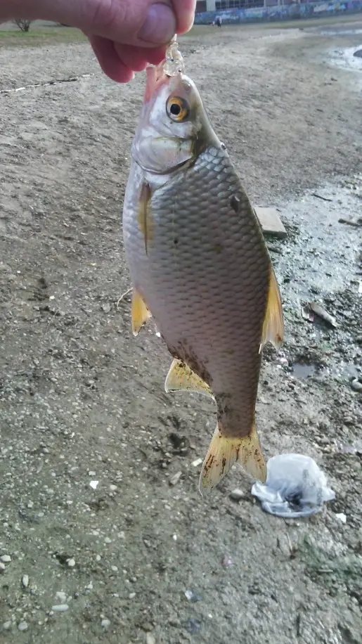 Фото о рыбалке №29730