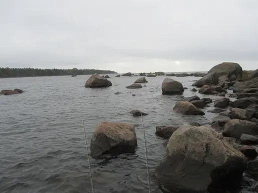 Поиски щуки в свежей воде