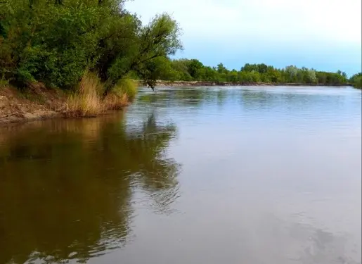 Место, где Кумылга впадает в Хопёр