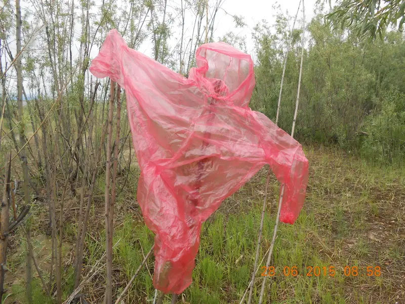Таиландский презерватив, спасший меня от дождя, оставлен в роли пугала на охрану лагеря:)