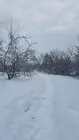 Не терпелось мне на... (фото #19908)