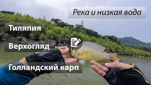 Всё на всё или глубина решает