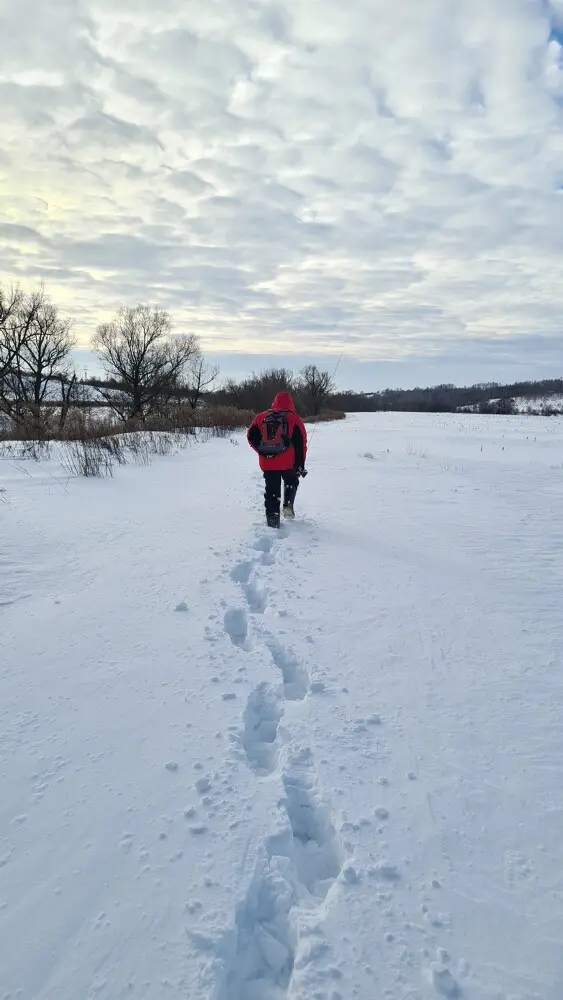 Путь домой