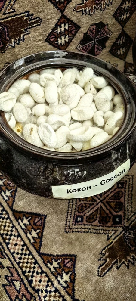 Коконы тутового шелкопряда.