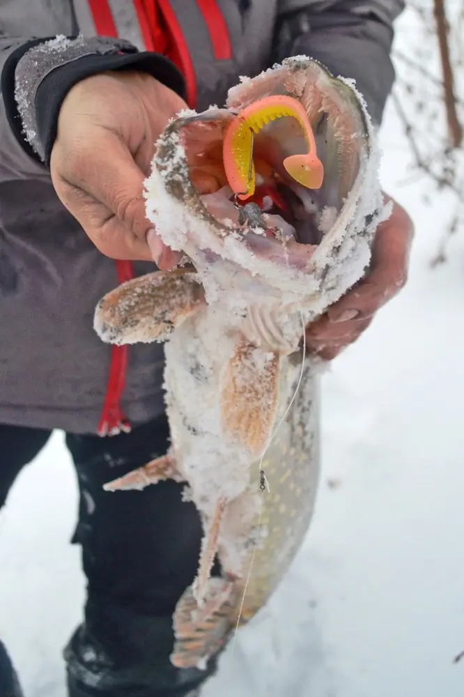 Одна из самых эпичных рыбалок (финалов рыбалок). Начать ее договорились на одном хитром участке...