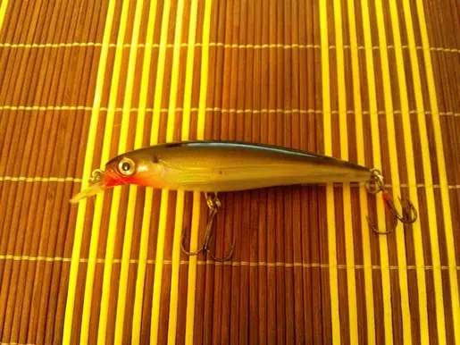 Rapala X-Rap 10