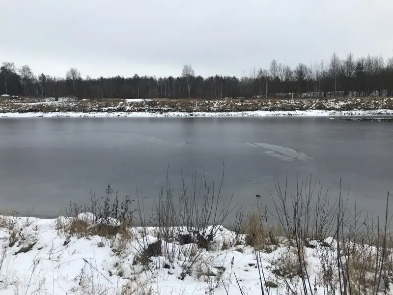 Собрался такой я гейской птичкой помахать, а тут...