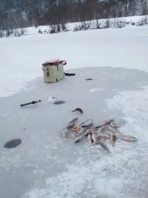 Первый зимний улов