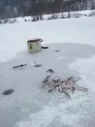 Первый зимний улов