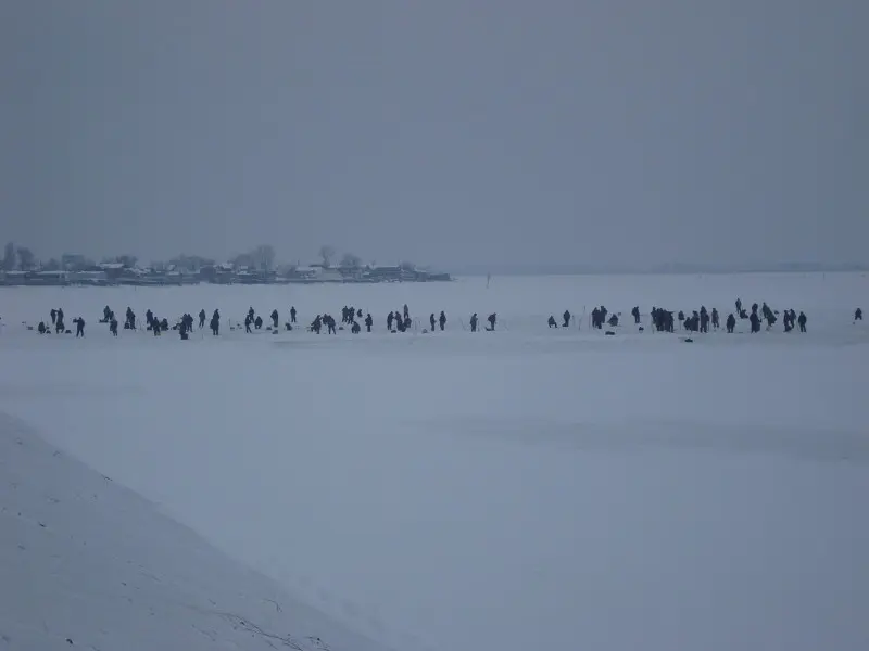 И выдерживает же их лед