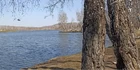 Хоть одна и то улов, а... (фото #25303)