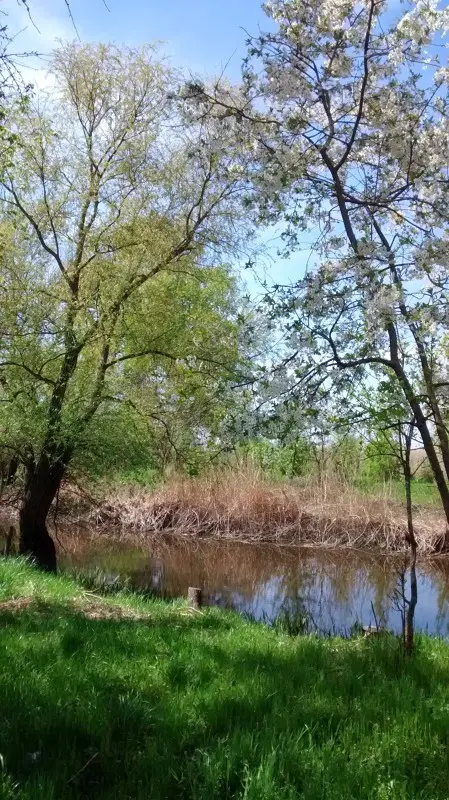 Еще не наступила зима, а уже хочется весну. Поехать за таранкой, а потом карасем, посидеть у...