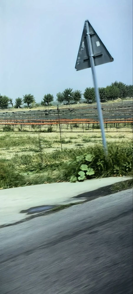 Вот так сушится курага.