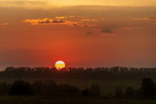 Приметы и реальность.