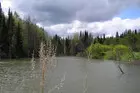 Щучье озеро