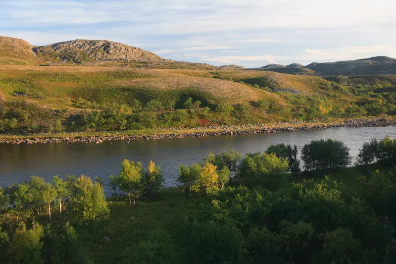 5 фото — Семужьи реки Мурманской области — это что-то несравнимое ни с чем.