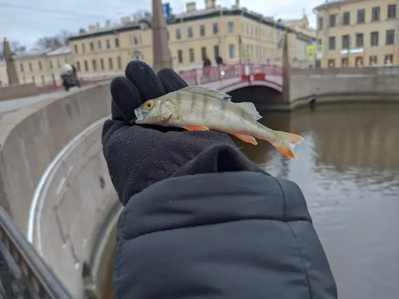 Сезон закрыл. Но с большим трудом. И накоротке — просто не смог перевязаться после обрыва...