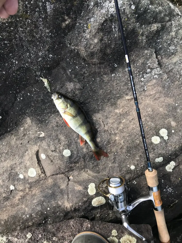 Весь металл был в игноре, но вот Smolt одного добыл :)