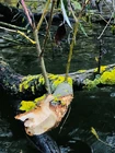 Вода за неделю остыла... (фото #26657)